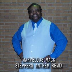 Steppers Anthem (Remix)