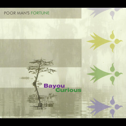 Bayou Curious