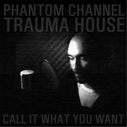 Call It What You Want (feat. Phantom Channel)