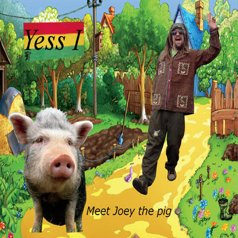 Meet Joey the Pig