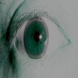 Language Not Required