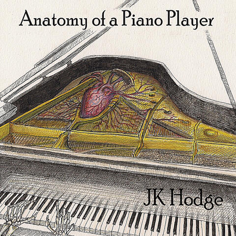 Anatomy of a Piano Player