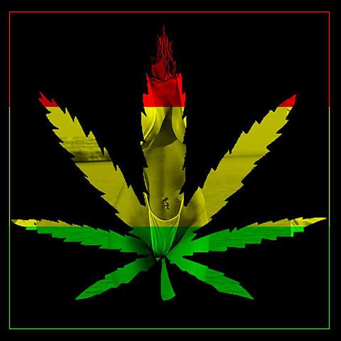 Reggae Revolution: 50 Top Reggae, Rasta, Dub 2012