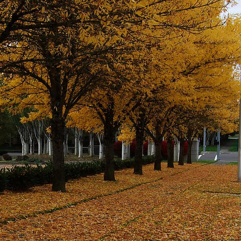 2012 Fall Keys