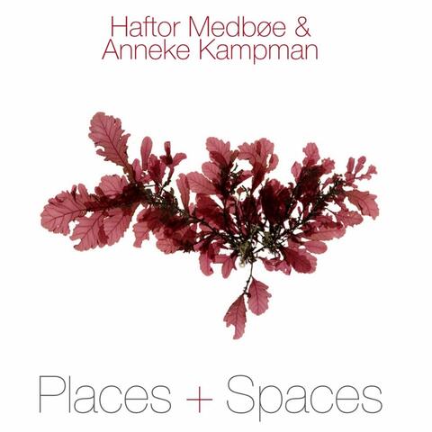 Places & Spaces