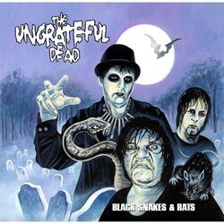 Black Snakes & Rats