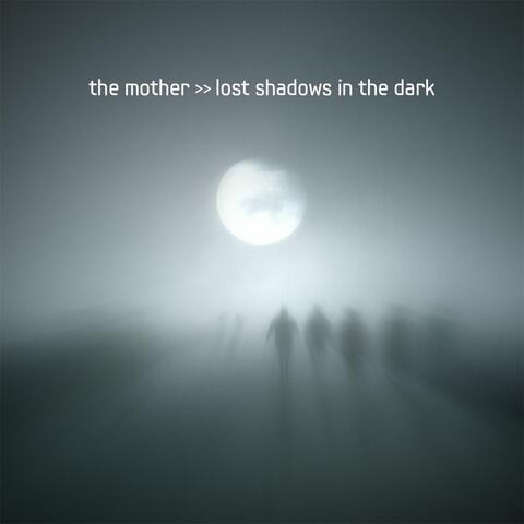 Lost Shadows in the Dark