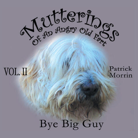 Mutterings of an Angry Old Fart, Vol. 2: Bye Big Guy