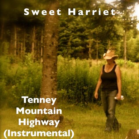 Tenney Mountain Highway (Instrumental)