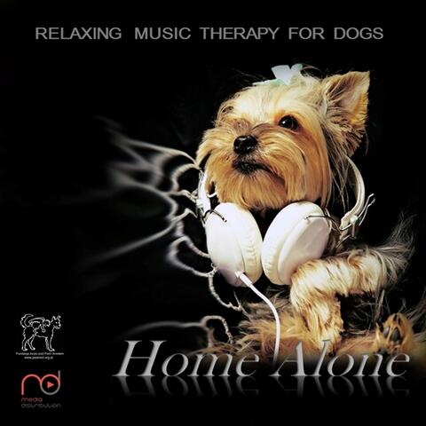 Music Therapy for Dogs: Home Alone
