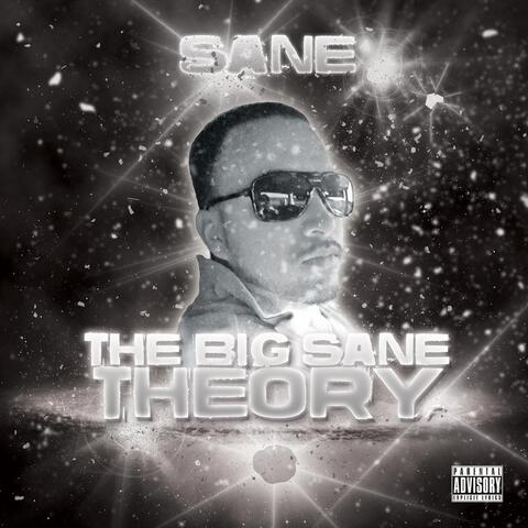 The Big Sane Theory