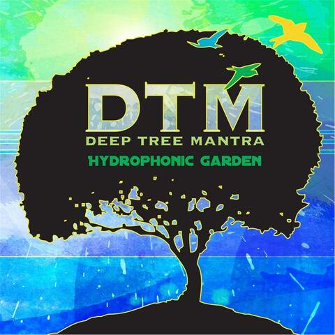 Hydrophonic Garden
