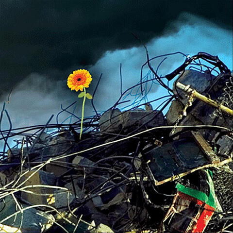 From the Wreckage