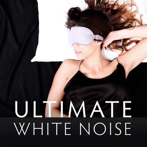 Official White Noise Collection