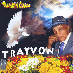 Trayvon (Insrumental Mix)