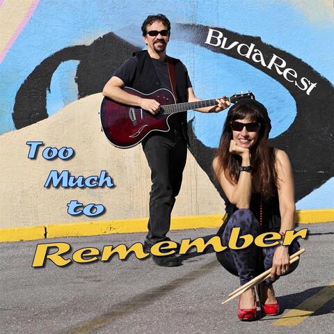 Too Much to Remember