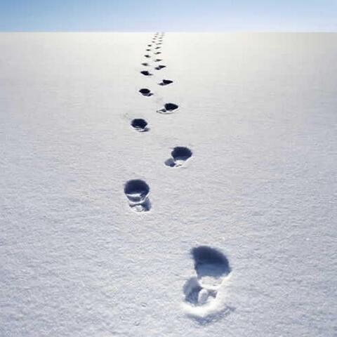 Foot Steps in the Snow