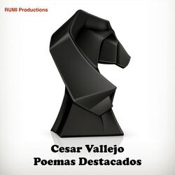 Piedra Negra Sobre una Piedra Blanca
