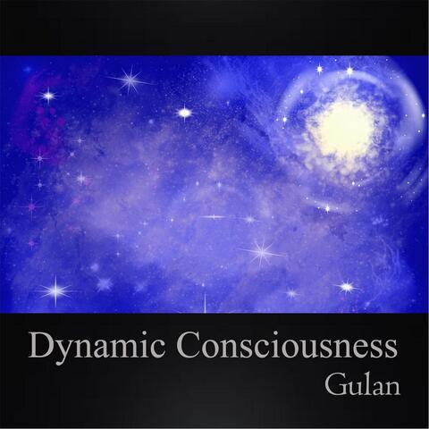 Dynamic Consciousness