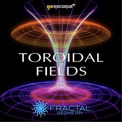 Toroidal Fields