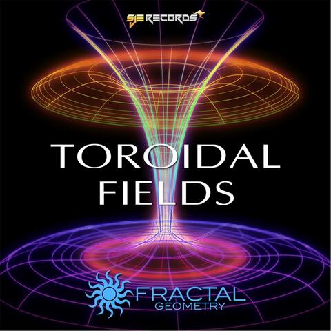 Toroidal Fields