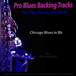 Pro Blues Backing Tracks (Chicago Blues in Bb) [For Alto Saxophone]
