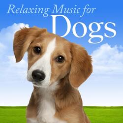 Canine Relaxation: Calm Sounds for Beagles, Boxers, Poodles, Pugs, Labrador Retrievers, Dachsunds, Yorkshire Terrier Breeds