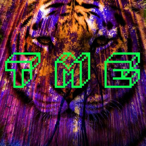 T M E
