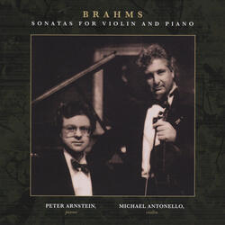 Sonata No. 3 in D Minor, Op. 108: I. Allegro