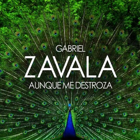 Aunque Me Destroza