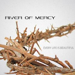 Every Life Is Beautiful