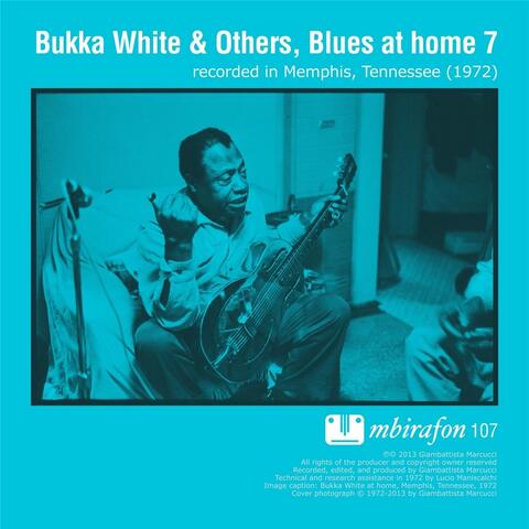 Blues At Home 7