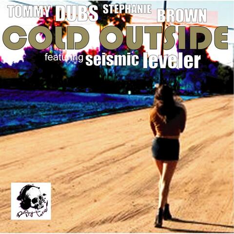 Cold Outside (feat. Stephanie Brown & Seismic Leveler)