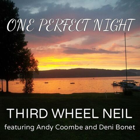 One Perfect Night (feat. Andy Coombe & Deni Bonet)