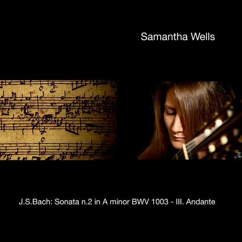 J.S. Bach: Sonata No. 2 in A Minor, BWV 1003: III. Andante