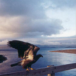 Aleutian Overture - Revisited