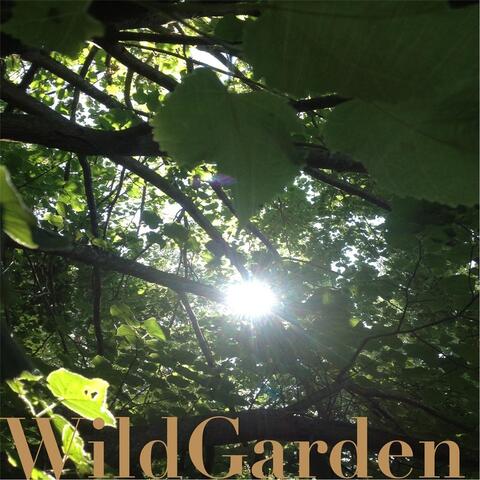 Wild Garden