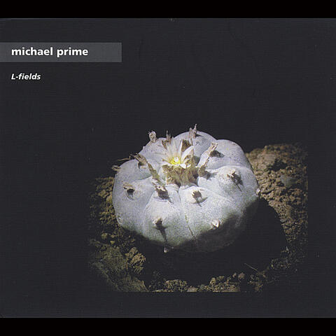 Michael Prime