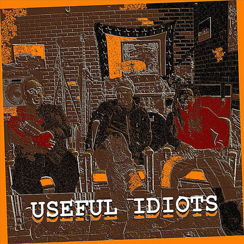 Useful Idiots