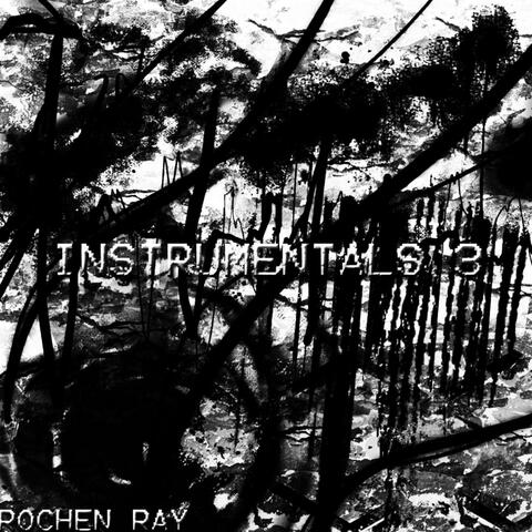 Instrumentals 3