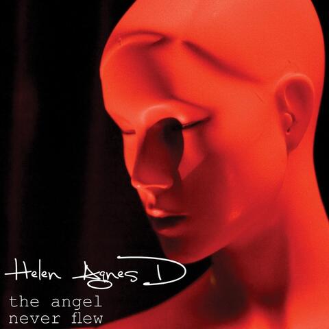 The Angel Never Flew