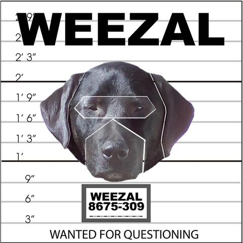 Wanted for Questioning