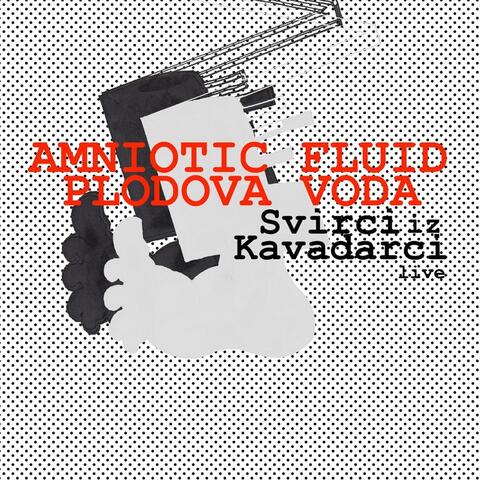 Amniotic Fluid / Plodova Voda: Svirci Iz Kavdarci (Live)