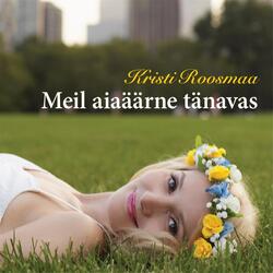 Meil Aiaäärne Tänavas