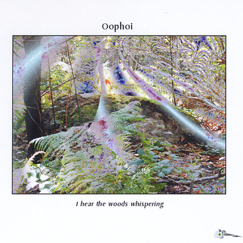 I Hear the Woods Whispering