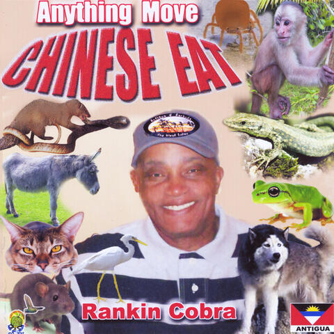 Anything Move Chinese Eat