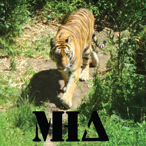 Matt Holdaway's Army: Tiger