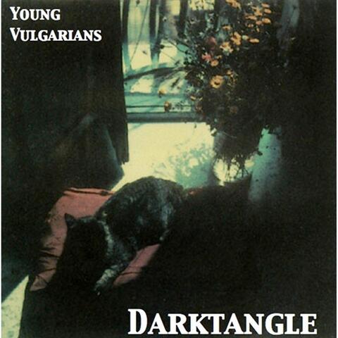 Darktangle