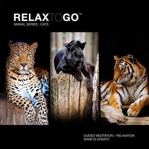 Relax to Go (Guided Meditation and Relaxation)[ Cats]