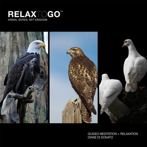 Relax to Go (Guided Meditation and Relaxation)[ Sky Kingdom]